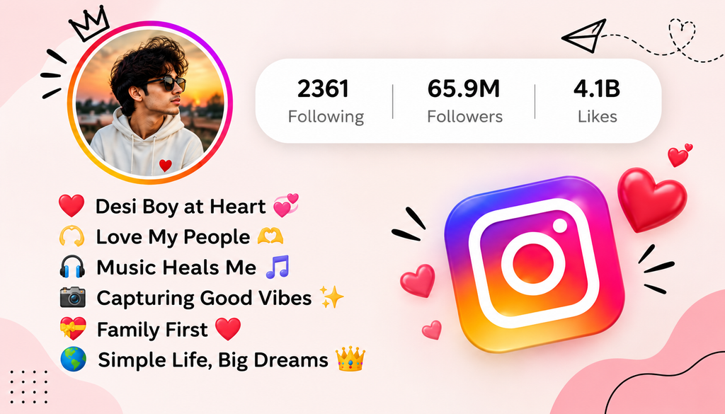 Instagram Bio for Boys Desi